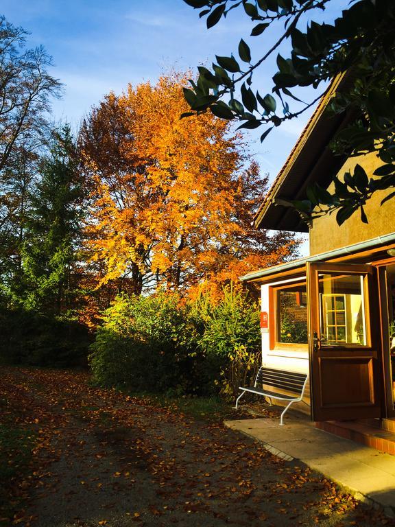 Le Chalet Luttenbach-près-Munster Exteriér fotografie