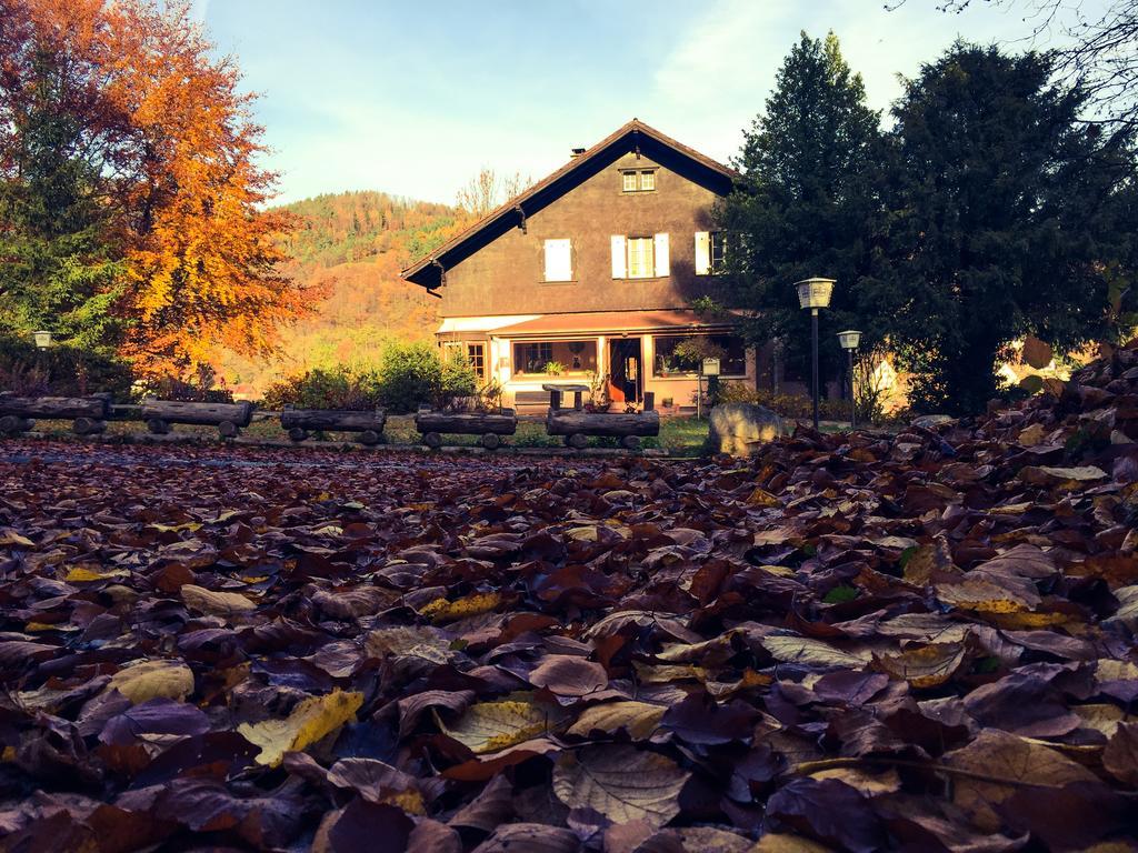 Le Chalet Luttenbach-près-Munster Exteriér fotografie