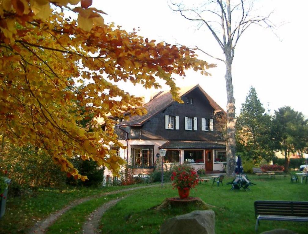 Le Chalet Luttenbach-près-Munster Exteriér fotografie