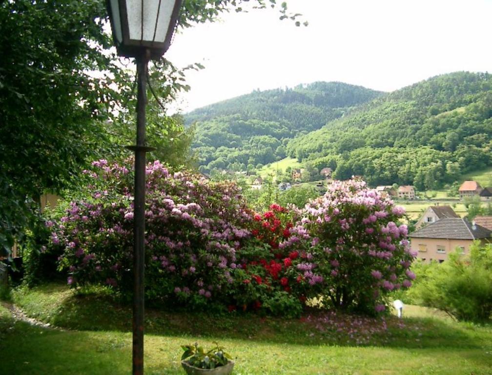 Le Chalet Luttenbach-près-Munster Exteriér fotografie